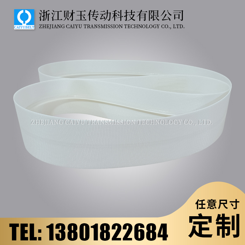 白色PVC双面帆布输送带